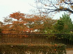 201011071337000.jpg