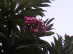 2011-11-23 12.54.34.jpg